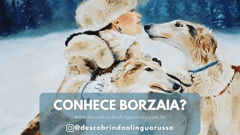 Borzaia é uma raça canina oriunda da Rússia. Conhecida desde a Idade Média russa, foi a raça preferida dos nobres para caçadas e corridas.